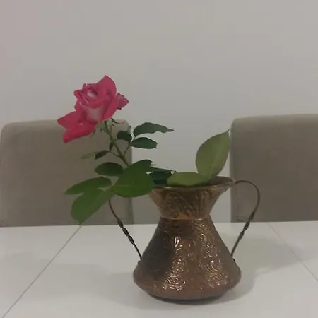 K&e Sarac Апартаменты